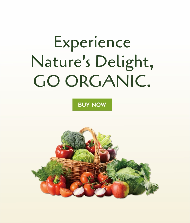 online food delivery in jaipur